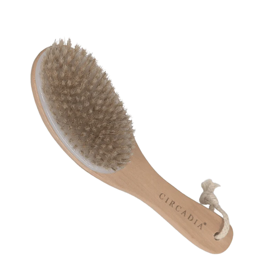 Circadia Body Brush